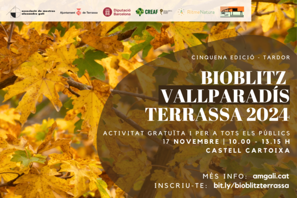 5è BIOBLILITZ AL PARC DE VALLPARADÍS, 2n deTARDOR